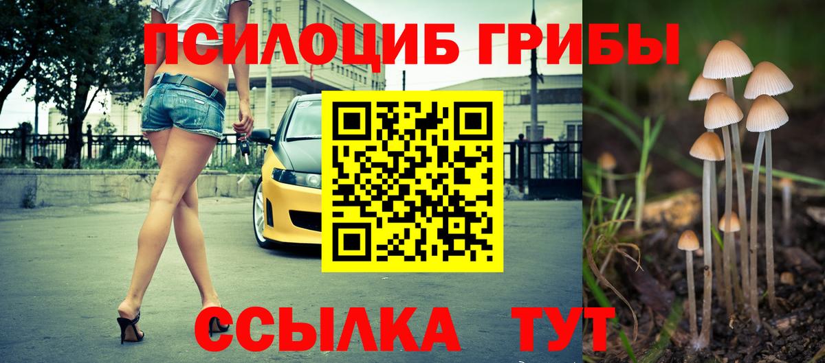 Чехов  Галлюциногенные грибы мухоморы  Вход с VPN 